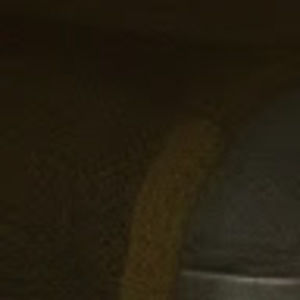 Meet your Posher, Veronica